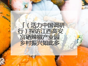 （活力中国调研行）探访江西高安富硒辣椒产业园 乡村振兴如此多 “椒”