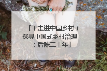 （走进中国乡村）探寻中国式乡村治理：后陈二十年