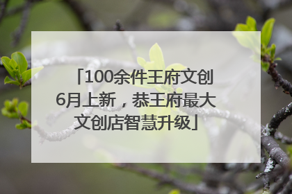 100余件王府文创6月上新，恭王府最大文创店智慧升级