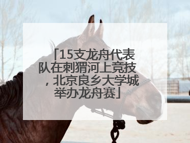 15支龙舟代表队在刺猬河上竞技，北京良乡大学城举办龙舟赛