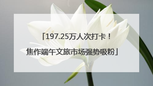 197.25万人次打卡！焦作端午文旅市场强势吸粉