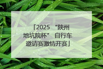 2025 “陕州地坑院杯” 自行车邀请赛激情开赛