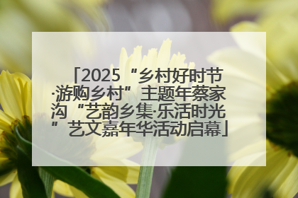 2025“乡村好时节·游购乡村”主题年蔡家沟“艺韵乡集·乐活时光”艺文嘉年华活动启幕