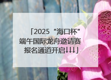 2025“海口杯”端午国际龙舟邀请赛 报名通道开启↓↓↓