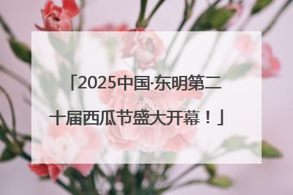 2025中国·东明第二十届西瓜节盛大开幕！