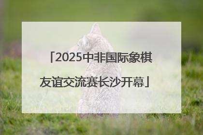 2025中非国际象棋友谊交流赛长沙开幕