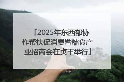 2025年东西部协作帮扶促消费暨糯食产业招商会在贞丰举行