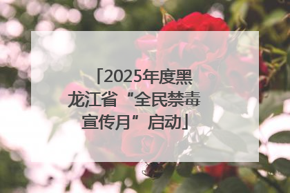 2025年度黑龙江省“全民禁毒宣传月”启动