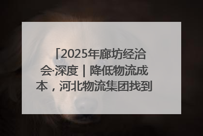 2025年廊坊经洽会·深度｜降低物流成本，河北物流集团找到一把“金钥匙”