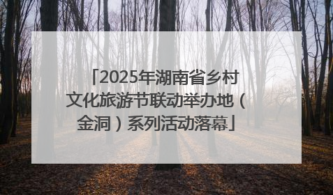 2025年湖南省乡村文化旅游节联动举办地（金洞）系列活动落幕