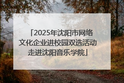 2025年沈阳市网络文化企业进校园双选活动走进沈阳音乐学院
