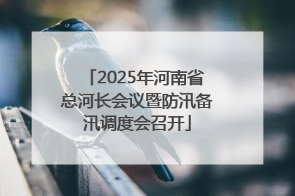2025年河南省总河长会议暨防汛备汛调度会召开