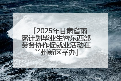 2025年甘肃省雨露计划毕业生暨东西部劳务协作促就业活动在兰州新区举办