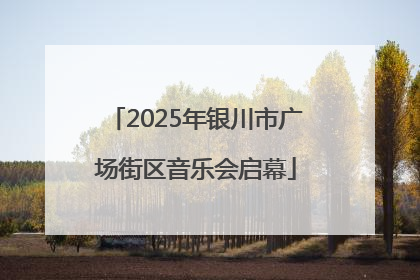 2025年银川市广场街区音乐会启幕