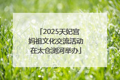 2025天妃宫妈祖文化交流活动在太仓浏河举办