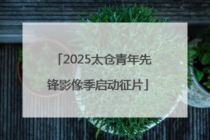 2025太仓青年先锋影像季启动征片