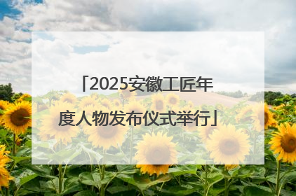 2025安徽工匠年度人物发布仪式举行