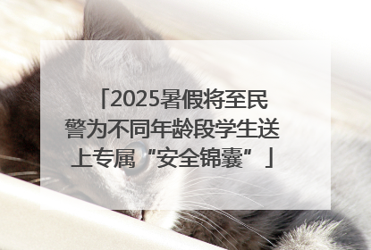 2025暑假将至民警为不同年龄段学生送上专属“安全锦囊”