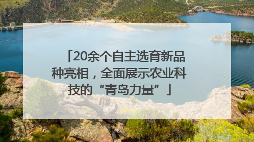 20余个自主选育新品种亮相，全面展示农业科技的“青岛力量”
