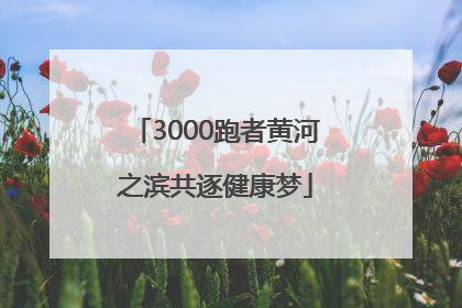 3000跑者黄河之滨共逐健康梦