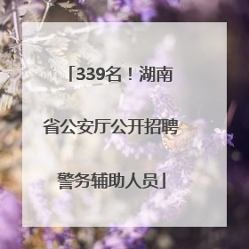 339名！湖南省公安厅公开招聘警务辅助人员