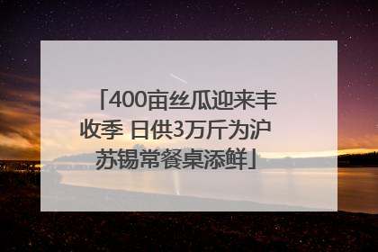 400亩丝瓜迎来丰收季 日供3万斤为沪苏锡常餐桌添鲜