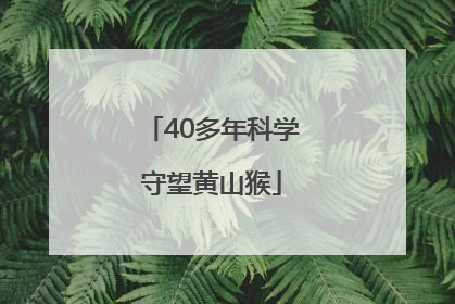 40多年科学守望黄山猴