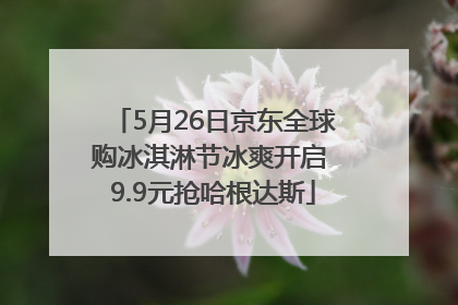 5月26日京东全球购冰淇淋节冰爽开启 9.9元抢哈根达斯