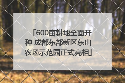 600亩耕地全面开种 成都东部新区东山农场示范园正式亮相