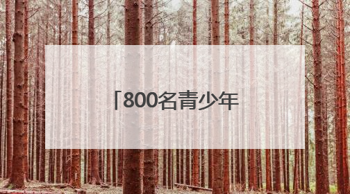 800名青少年运动员跃动青春 首届郑州市青少年三大球联赛开幕