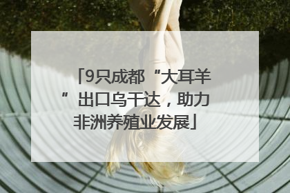 9只成都“大耳羊”出口乌干达，助力非洲养殖业发展