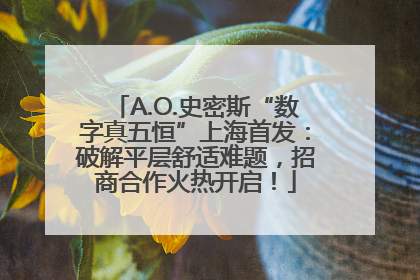 A.O.史密斯“数字真五恒”上海首发：破解平层舒适难题，招商合作火热开启！