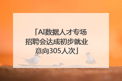 AI数据人才专场招聘会达成初步就业意向305人次