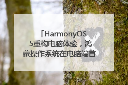 HarmonyOS 5重构电脑体验，鸿蒙操作系统在电脑端首次亮相丨新经济观察