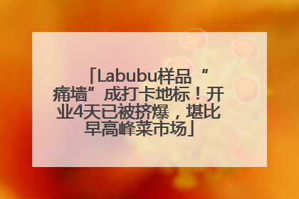 Labubu样品“痛墙”成打卡地标！开业4天已被挤爆，堪比早高峰菜市场