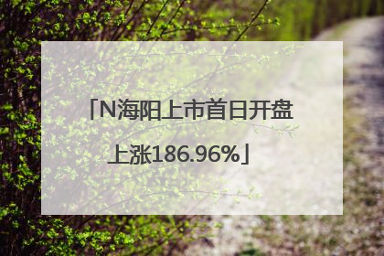N海阳上市首日开盘上涨186.96%