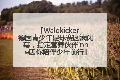 Waldkicker德国青少年足球赛圆满闭幕，指定营养伙伴inne因你陪伴少年前行